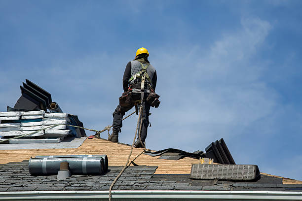 Professional Storm Damage Roof Repair technician working in Wolf Lake, MN